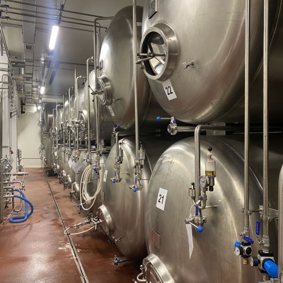 Za pivem, které rozřehtá